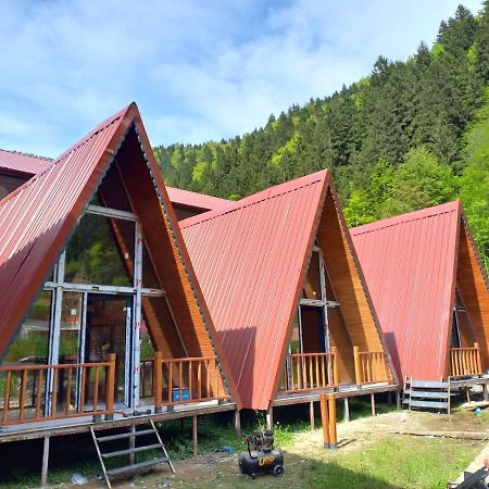 Ay Home Apart&Bungalov Uzungöl Εξωτερικό φωτογραφία