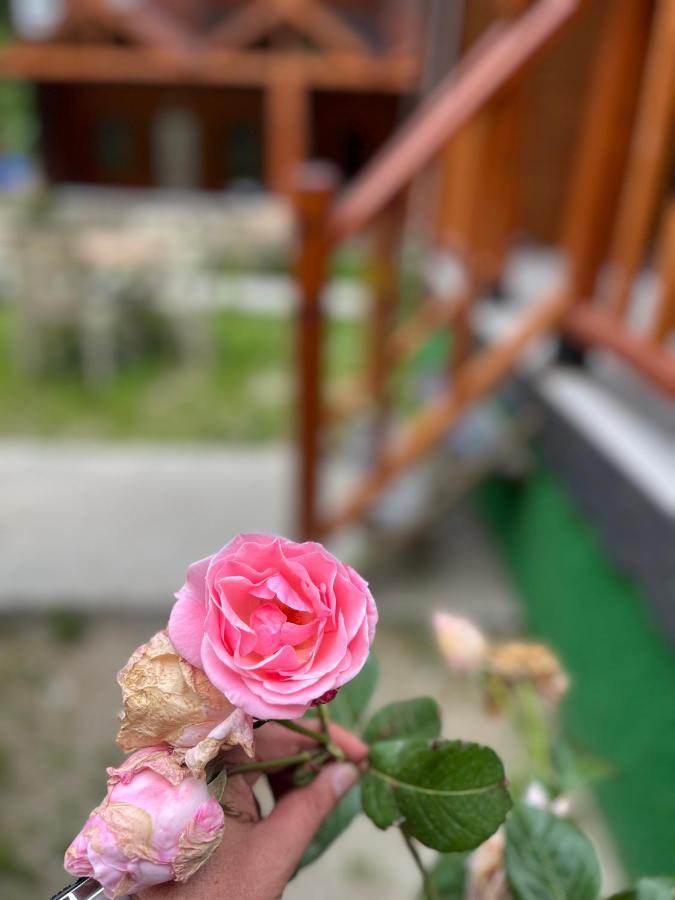 Ay Home Apart&Bungalov Uzungöl Εξωτερικό φωτογραφία